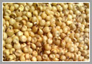 Jowar Grains